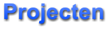 Projecten